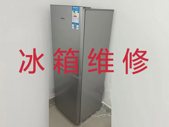 凉山专业电冰箱安装